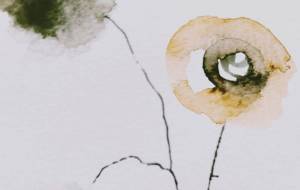 茶色の小瓶にさした花1 - ぴぴ 