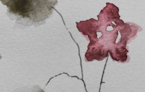 茶色の小瓶にさした花3 - ぴぴ 