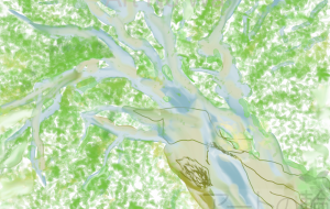 大きい樹 - ゆふーち