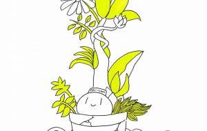 鉢植え - はんぺん 