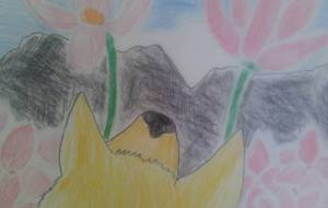 ただ憧れをもって… - サオリ 