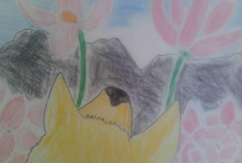 ただ憧れをもって…