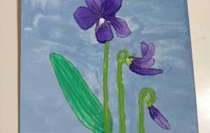 スミレ - 金谷茜 