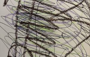 アール・ブリュット挑戦 - 笹谷正博 