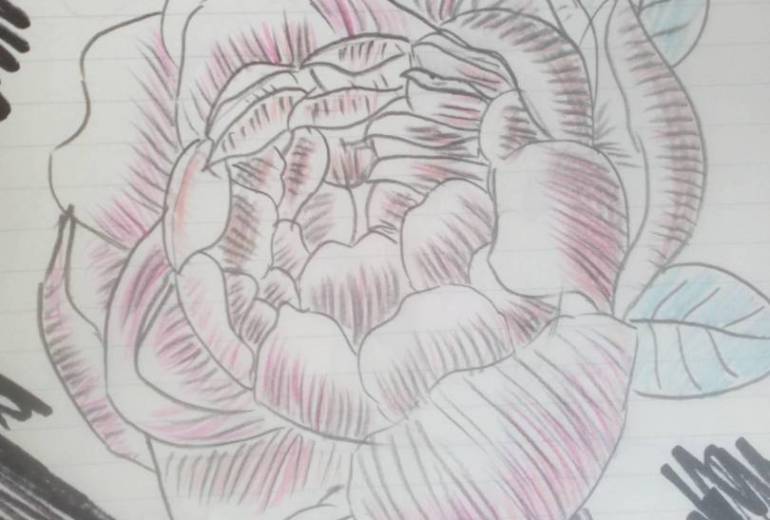 暗闇に咲く芍薬の花。