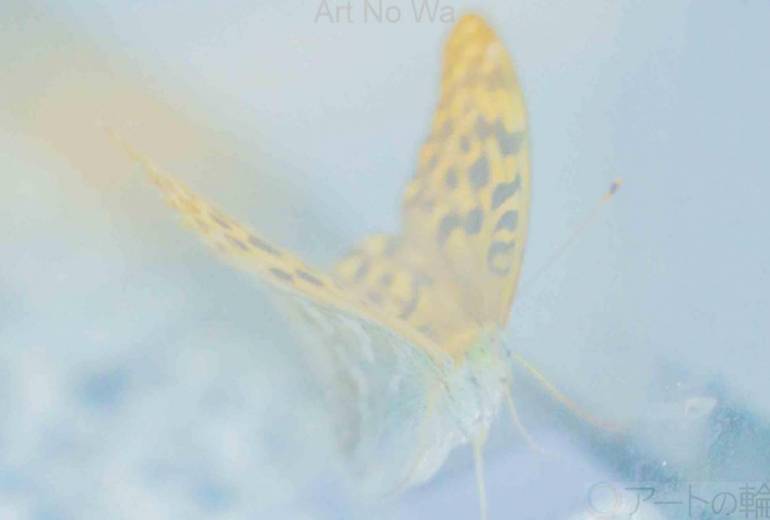 バタフライエフェクト