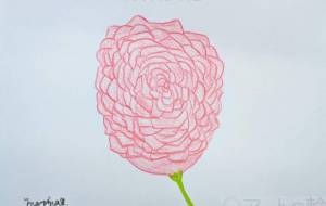 いちばんすきな花 - marina♡ 