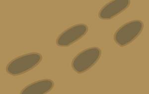 足跡 - アクター