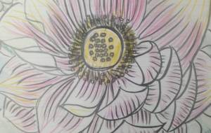 美鶴地蓮の花 - サオリ