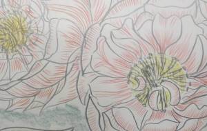 朝露の芍薬 - サオリ