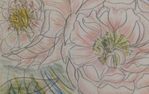 波紋… - サオリ