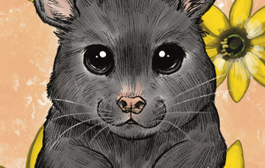 ココアちゃん - Yukari 