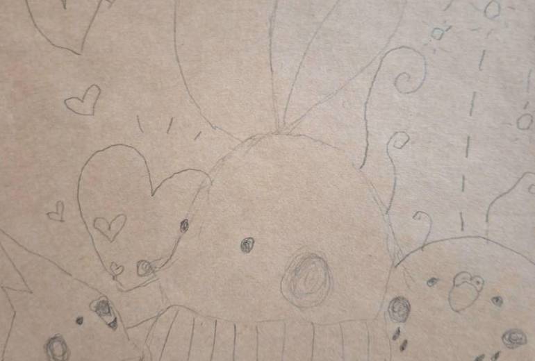 好かれる、うさぎ。