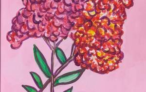 サルスベリ - satti