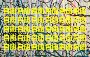 アール・ブリュット挑戦 - 笹谷正博 