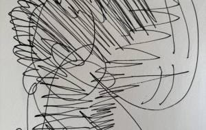 アール・ブリュット挑戦 - 笹谷正博