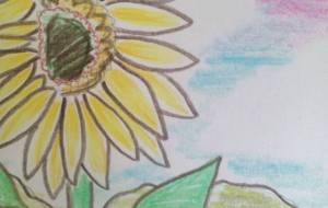 夏空の下の雨空に… - サオリ 