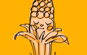 トウモロコシ君 - 空叶論