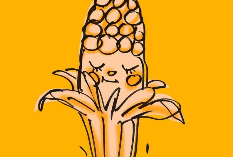 トウモロコシ君