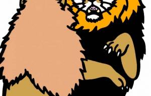 アフリカライオン - シマハイエナ 