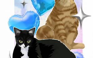 にゃんだふる - パル子 