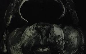 部分的クローズアップ、（鬼ヤンマ阿修羅） - 真鍋哲地 