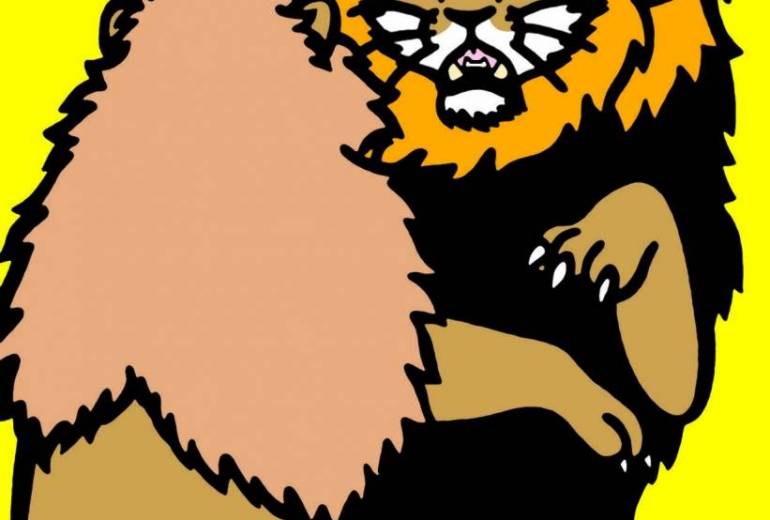 アフリカライオン