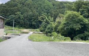 自然がいーっぱい! - WANIMA