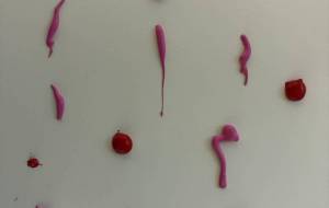 アール・ブリュット挑戦 - 笹谷正博