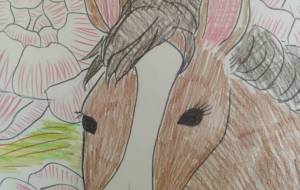 草原の朝の夜明けに… - サオリ 