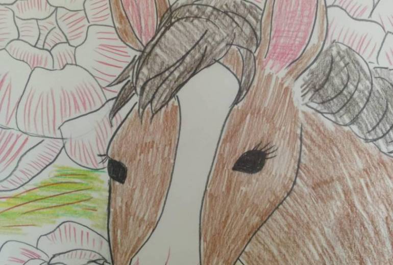 草原の朝の夜明けに…