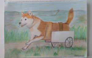 無題 - f.noralikurali