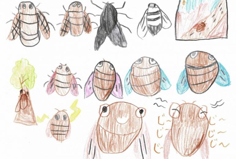 8月26日(火）せみ