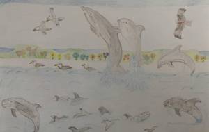 仲良しイルカ達 - ユリアルメリア