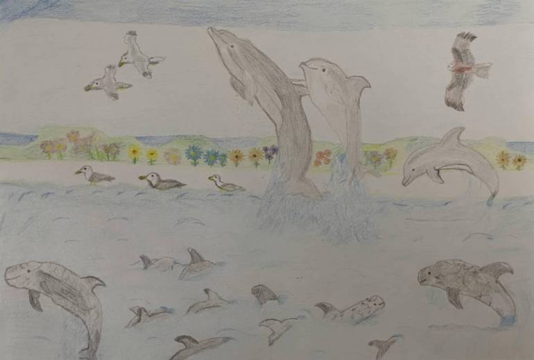 仲良しイルカ達