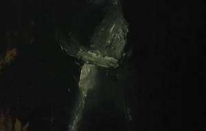 瞳が不自由な障がい者、貧困者老人、苦しむ理由を教えて何故だ（心からの魂の叫び） - 真鍋哲地 