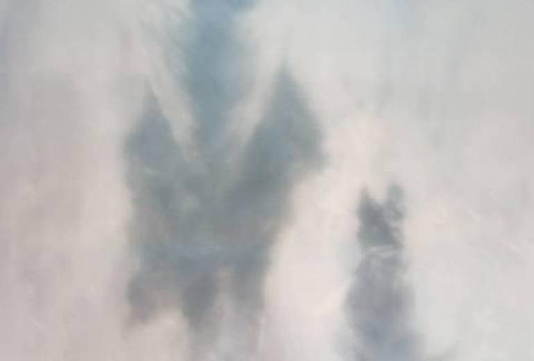 遠く空の下、雪よ！１人と一匹を優しく包んで、貧困者天使、と野良犬の絆