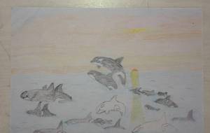 シャチと夕陽 - ユリアルメリア 