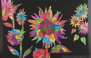 日回りようそろ - 明紅葉 