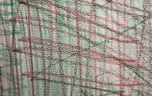 アール・ブリュット挑戦 - 笹谷正博 