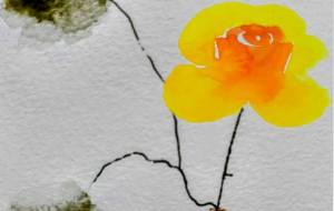 瓶と葉使い回し - ぴぴ 