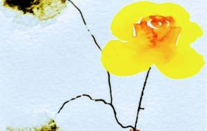 瓶と葉使い回し、バラ加工 - ぴぴ 