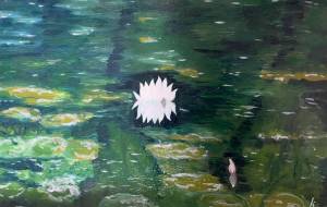 睡蓮の池 - 喜子 
