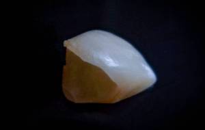 喪失 - Yukihiro Sato 