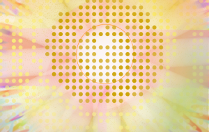 ひまわり - かずもがな 