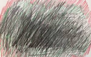 アール・ブリュット挑戦 - 笹谷正博