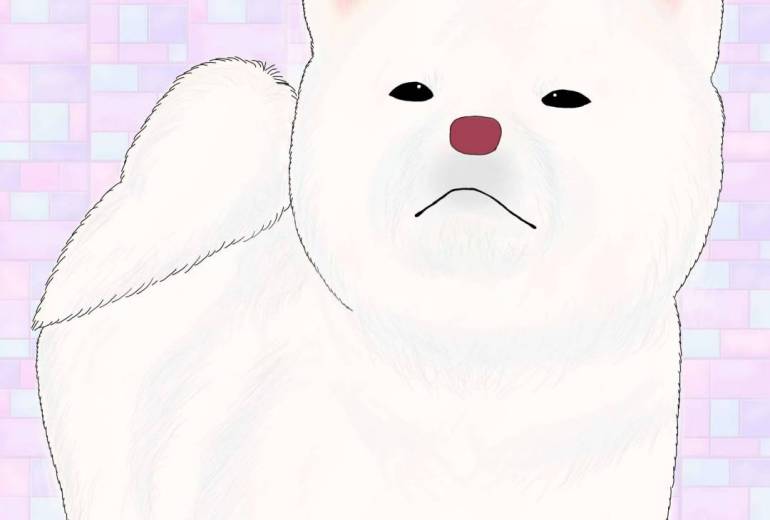 現場監督（秋田犬・白毛）