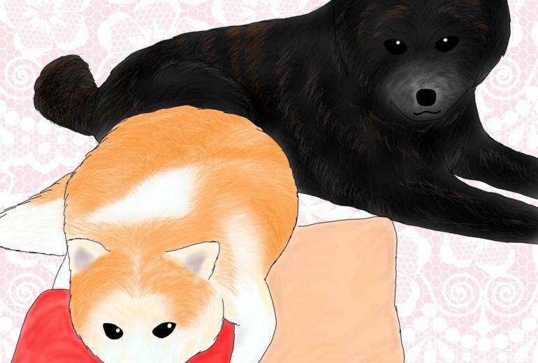 お部屋でマッタリ（秋田犬・虎毛、秋田犬・赤毛）