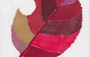 紅葉 - ナトリ　ユカリ 