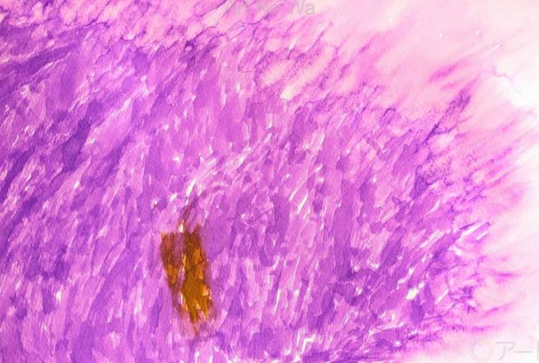 和太鼓の響き - Liilii 